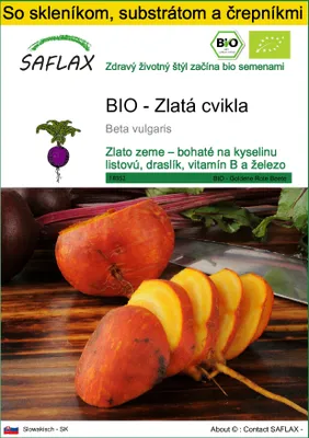 Obrázok produktu pre SAFLAX Kultivačný set - BIO - Zlatá cvikla - Beta vulgaris - 50 Semená - S mini skleníkom, pestovateľským substrátom a 2 črepníkmi