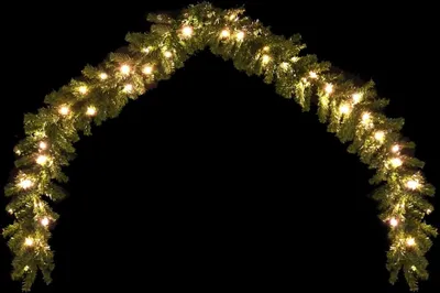 Immagine prodotto di vidaXL Ghirlanda di Natale con luci LED 5 m
