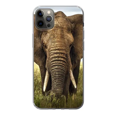 Produktbild von MuchoWow® Handyhülle Schutzhülle Hülle für iPhone 13 Pro Max Elefant - Gras - Tiere - Natur Silikon Softcase Handy Hülle - Mobiltelefon