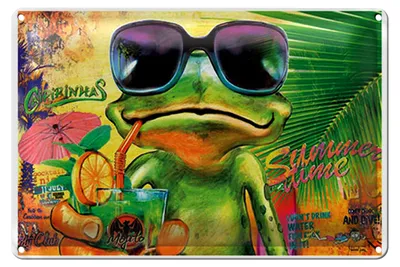 Produktbild von Blechschild Frosch 18x12cm Cocktail Mojito Summer Strand