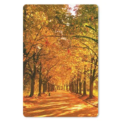 Produktbild von MuchoWow® Mauspad Mousepad Wald - Herbst - Jahreszeiten - Ländlich 18x27 cm - Mousepads - Maus Mat - Pad - Mausunterlage