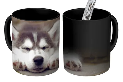 Obrázek produktu pro MuchoWow® Kouzelný pohár Spící štěně huskyho 350 ml Barva měnící se pohár Dárkový nápad - foto hrnek