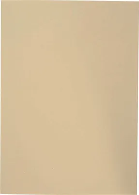 Produktbild von Aktendeckel Karton chamois Packung mit 100 Stück