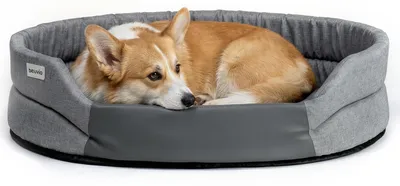 Immagine prodotto di Cuccia per cani Peluvio, impermeabile, facile da pulire, antiscivolo, bassa