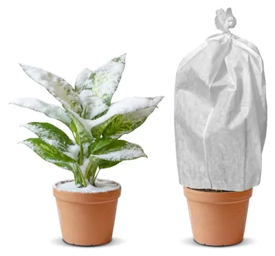 Produktbild von Pflanzenschutzhülle 1,4m x 10m, 50g/m², Winterschutz Kübelpflanzen, Kälteschutz