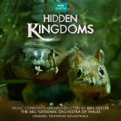 Produktbild von OST;Hidden Kingdoms