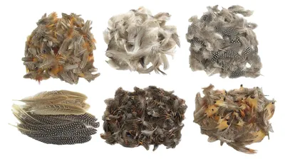 Image de Colorations - Plumes naturelles