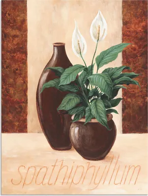 Produktbild von ARTland Wandbild Alu für Innen & Outdoor Spathiphyllum - Einblatt Größe: 90x120 cm