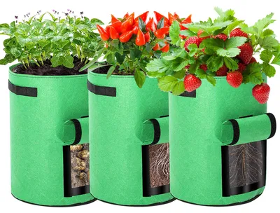 Immagine prodotto di Set di 20 sacchi per piante da 38 litri, con finestra trasparente e maniglie per il trasporto, sacchi pieghevoli per serre, terrazzi e giardini