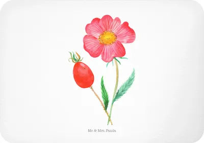 Produktbild von Mr. & Mrs. Panda Magnet Blume Hagebutte - Weiß - Geschenk, Garten, zettelhalter, whiteboardmagnet, Schlechte Gedanken, Lebensfreude, haftmagnet, Notizhalter