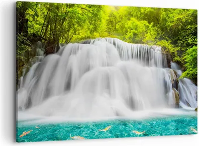 Produktbild von Bild auf Leinwand - Leinwandbild - Park natur landschaft - 100x70cm - Wand Bild - Wanddeko - Leinwanddruck - Bilder - Kunstdruck - Wanddekoration - Leinwand bilder - Wandkunst - AA100x70-2511