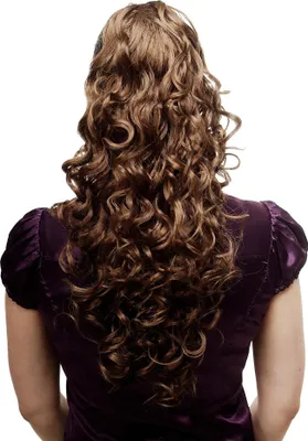 Produktbild von WIG ME UP Zopf, lockig, Braun N310-12