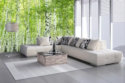 Produktbild von Vlies Fototapete FRÜHLINGSBIRKENWALD 375 x 250 cm (inkl. Kleister) - Vlies Tapete, Wandtapete, Wandbilder - Tapete für Wohnzimmer Schlafzimmer, Büro, Küche - Montagefertig