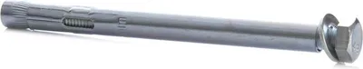 Immagine prodotto di Bullone di ancoraggio B 10x110 Tassello in acciaio A 4 pz