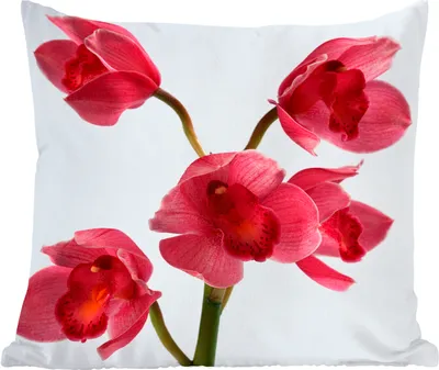 Produktbild von MuchoWow® Zierkissen Sofakissen Wohnzimmer Dekokissen 50x50 cm Rote Orchideen für einen hellen Hintergrund - Komfort - Sofakissen