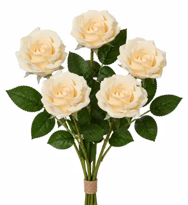 Produktbild von Künstliche Rosen mit Stiel 8x55cm 5 Stück Creme
