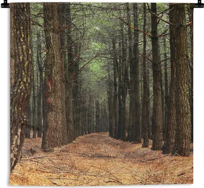 Produktbild von MuchoWow® Wandteppich Wandbehang Herbst - Dekoration - Wald 90x90 cm Tapisserie Dekoration Wandtuch - Wandaufhänger