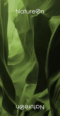 Produktbild von NatureOn Schlauchschal Antelope green