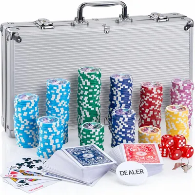 Profi Pokerset mit 500 Chips & Alu-Koffer – Casino-Feeling für Zuhause – 500 Chips / Silber