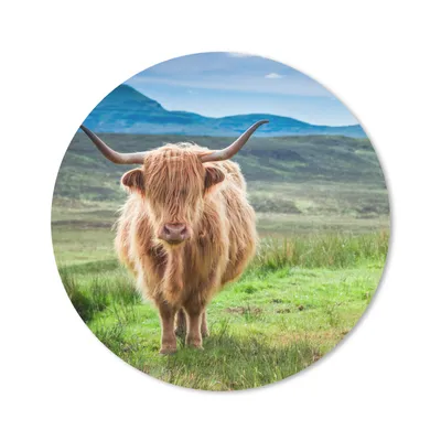 Produktbild von MuchoWow® Mauspad Mousepad Schottischer Hochländer - Kuh - Natur - Berg - Gras 20x20 cm - Mousepads - Maus Mat - Pad - Mausunterlage - Schreibtischmatte