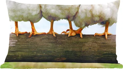 Produktbild von MuchoWow® Zierkissen Sofakissen Wohnzimmer Dekokissen 60x40 cm Foto Hühnerbeine drucken - Kopfkissen - Polster mit Foto