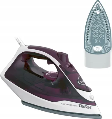 A product image displaying a steam iron and its soleplate.