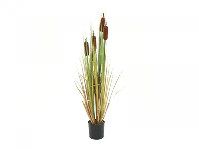 Immagine prodotto di EUROPALMS Bulrush, pianta artificiale, 150 cm (82600115)