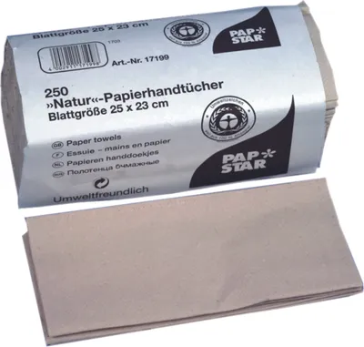 Produktbild von Papstar Papierhandtücher  V-Falz 23 cm x 25 cm natur Zick Zack, 1-lagig (20 x 250 Blatt = 5000 Blatt)
