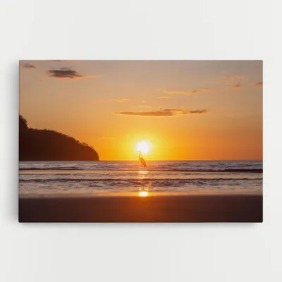 Produktbild von ARTHUB® Leinwandbild 50x70 cm, Sunset Bird Silhouette | Wohnzimmerdekoration, Hängende Bilder, Wanddekoration, Heimdekoration, Landschaften, Sommer