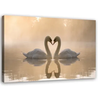 Image de Toile cygnes sur un étang boho 60x40 cm Feeby beige tableau mural prêt à accrocher
