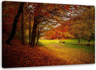 Produktbild von Leinwandbild bäume in einer parklandschaft 100x70 cm Feeby rot wandbild bereit zum aufhängen