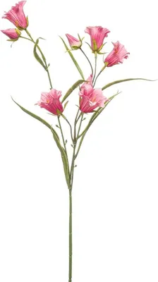 Produktbild von artplants.de Plastik Zweig Glockenblume EMMELY, dunkelrosa, 65cm - Kunst Glockenblumenzweig