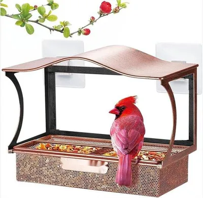 Produktbild von Vogelhäuschen Hängend mit starken Klebescheiben und abnehmbarer Saufederbox