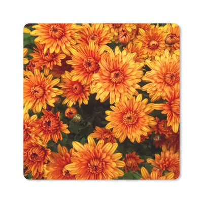 Produktbild von MuchoWow® Mauspad Mousepad Blumen - Orange - Chrysantheme 30x30 cm - Mousepads - Maus Mat - Pad - Mausunterlage - Gaming