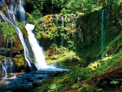 Produktbild von Wasserfälle Kunstdruck Bild - Gebirgswasserfall In Grüner Waldlandschaft (60 x 80 cm)