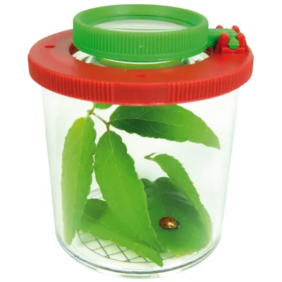 Produktbild von EDUPLAY 150006 Lupendose Ø 6 cm, H 7 cm, mit Plastikspinne, transparent
