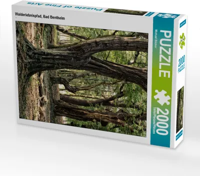 Produktbild von CALVENDO Puzzle Walderlebnispfad, Bad Bentheim 2000 Teile Puzzle hoch | 2000 Teile Lege-Größe 90x67cm Foto-Puzzle für glückliche Stunden