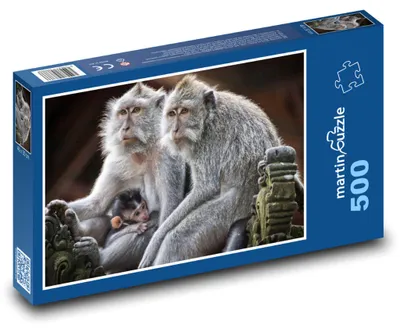 Produktbild von Puzzle 500 Affe Familie auf einem Ast - martinpuzzle