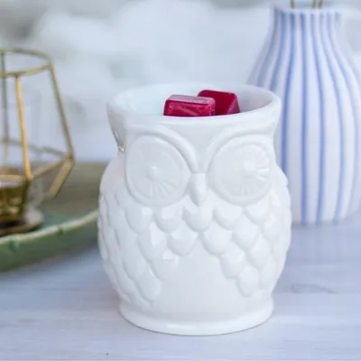 Obrázok produktu pre Aromatická lampa na čajové sviečky Candle Brothers, motív sovy, keramika, VxŠxH: 12x10x10 cm, aromaterapia, tip na darček, biela