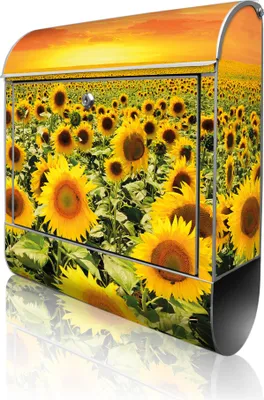 Produktbild von banjado Design Briefkasten Stahl silber mit Zeitungsfach pulverbeschichtet "Sonnenblumenmeer" 38x46x12,5cm & 2 Schlüssel - Postkasten A4 Einwurf inkl. Montagematerial [BK 12283]