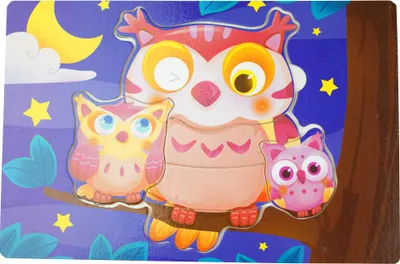 Obrázek produktu pro Dřevěné barevné puzzle soví omalovánky