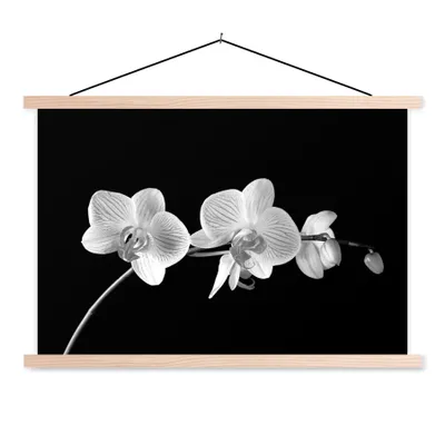 Produktbild von MuchoWow® Textilposter Orchidee - Blumen - Schwarz - Rosa - Knöpfe 60x40 cm mit holzfarbenen Rahmen - Bilder