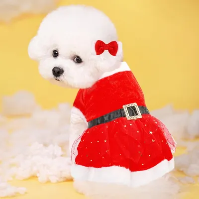 Produktbild von Weihnachtskostüm für Haustiere mit Schleife und Haarreif
