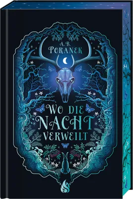 Produktbild von Wo die Nacht verweilt