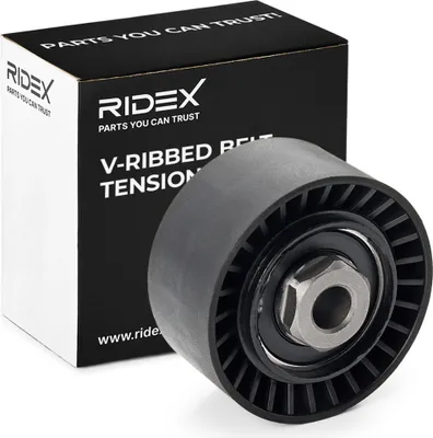 Produktbild von RIDEX 541V0025 Keilrippenriemenspanner für RENAULT Clio III Schrägheck (BR0/1, CR0/1) TWINGO II (CN0) CLIO II (BB0/1/2, CB0/1/2) Clio IV Schrägheck