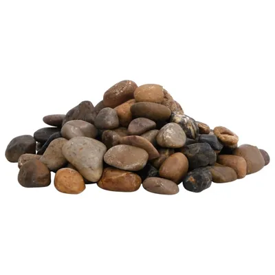 Immagine prodotto di vidaXL Ciottoli levigati 10 kg Multicolore 2-5 cm