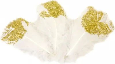 Immagine prodotto di 25 piume decorative bianco oro 7,5 cm - taglia unica