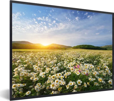 Produktbild von MuchoWow® Gerahmtes Poster Gänseblümchen - Sonne - Frühling 80x60 cm - Poster mit Schwarzem Bilderrahmen Wandposter Rahmen Foto Bilder - Schwarzem - Mit Gestell