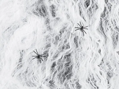 Produktbild von Halloween Spinnennetz, weiß, 200g