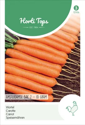 Produktbild von Möhren Amsterdamer Treib 2 | Möhrensamen von Hortitops